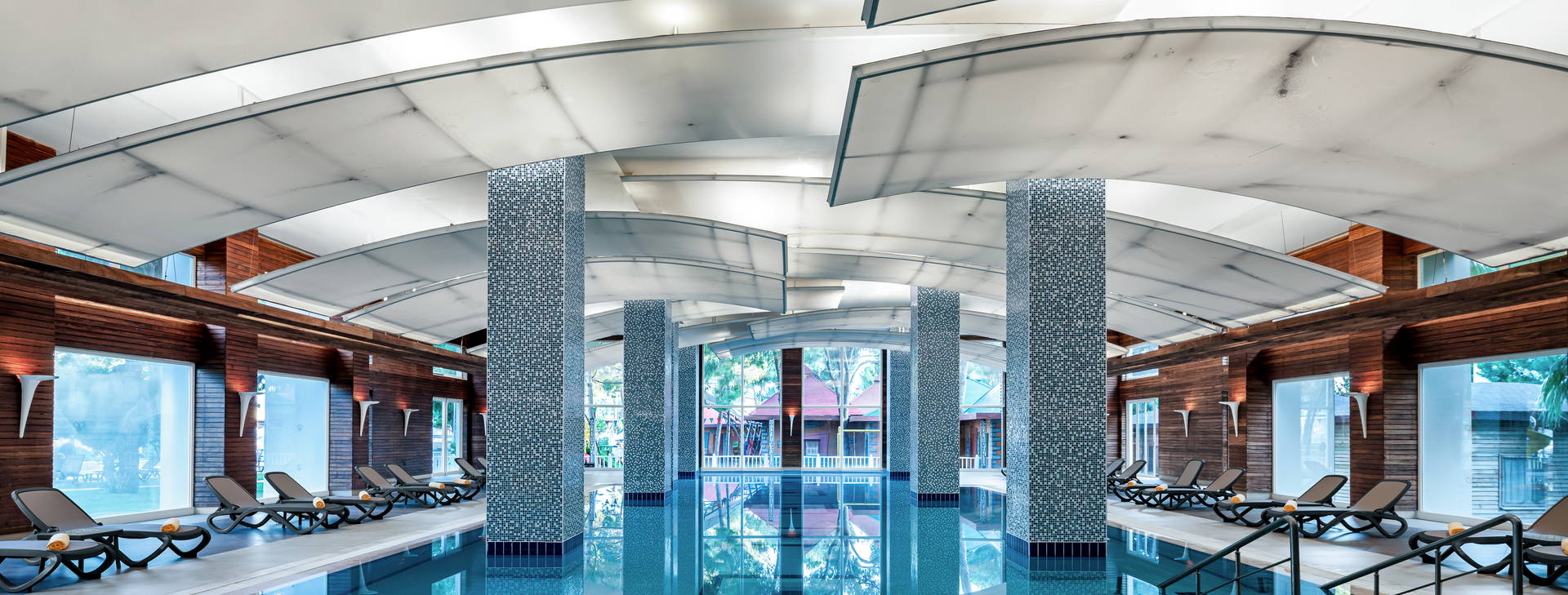 Papillon Ayscha  Obrázok24