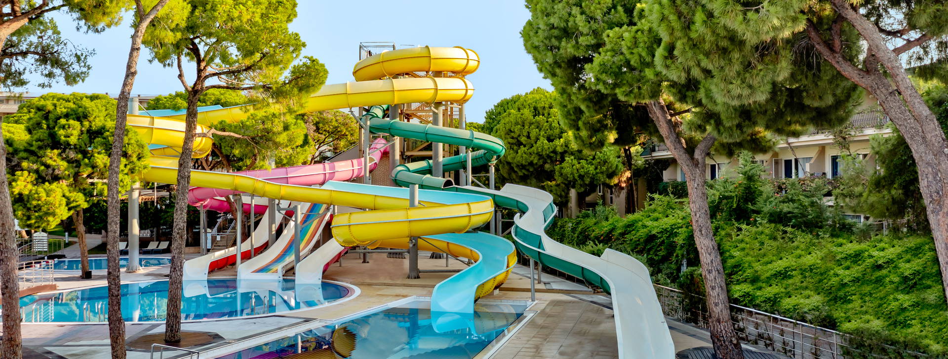 Papillon Ayscha  Obrázok1