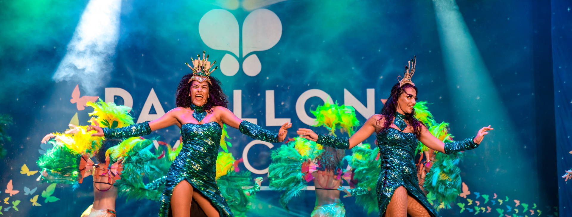 Papillon Ayscha  Obrázok20