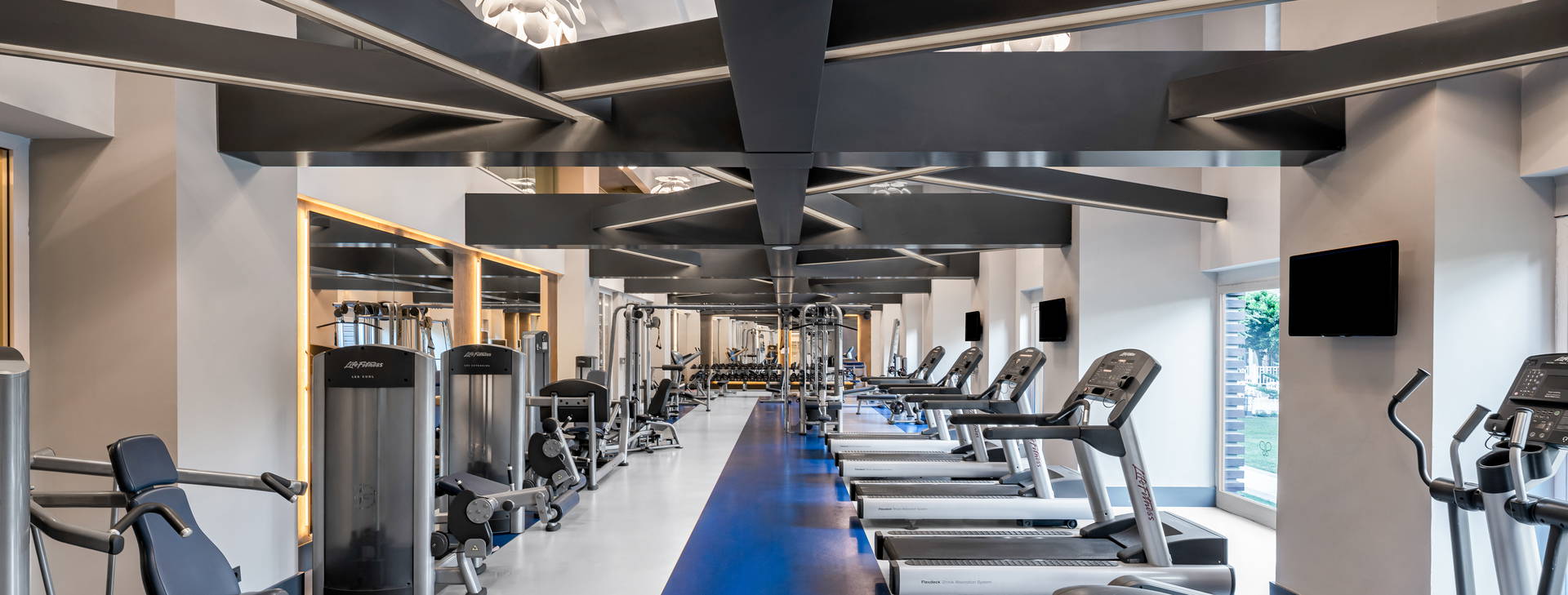 Papillon Ayscha  Obrázok25