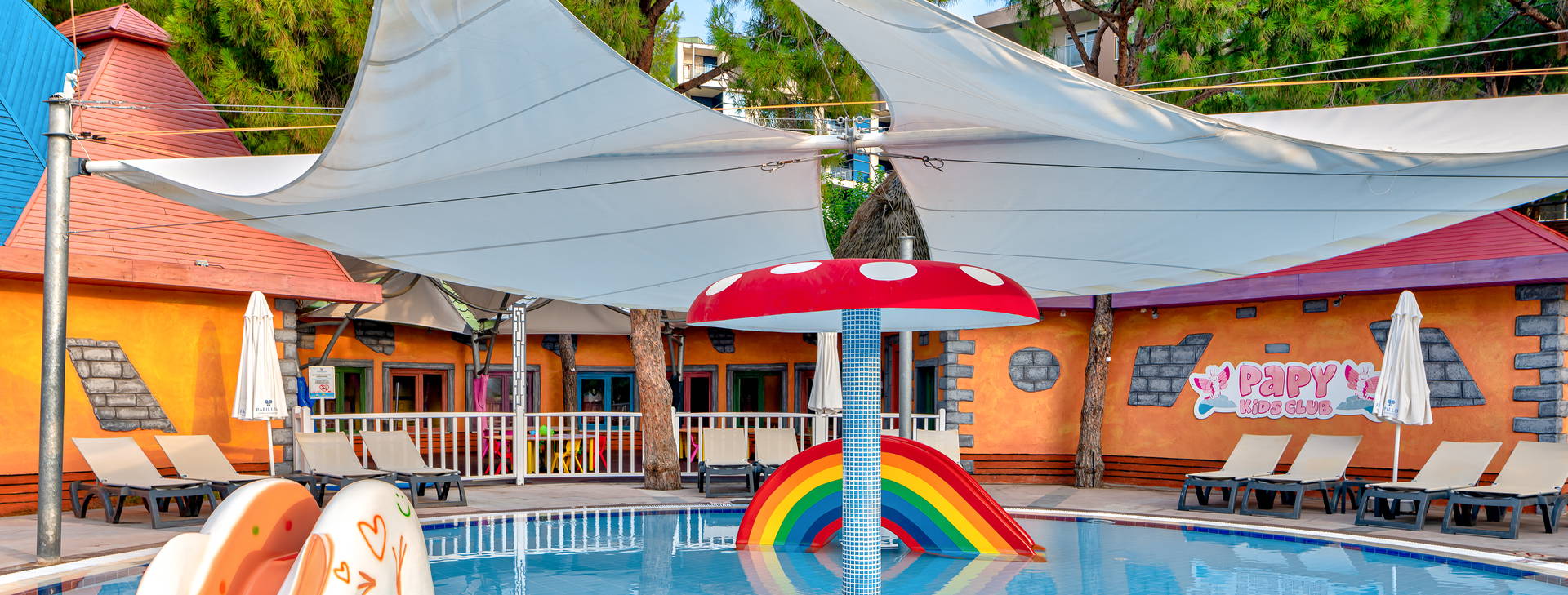 Papillon Ayscha  Obrázok6