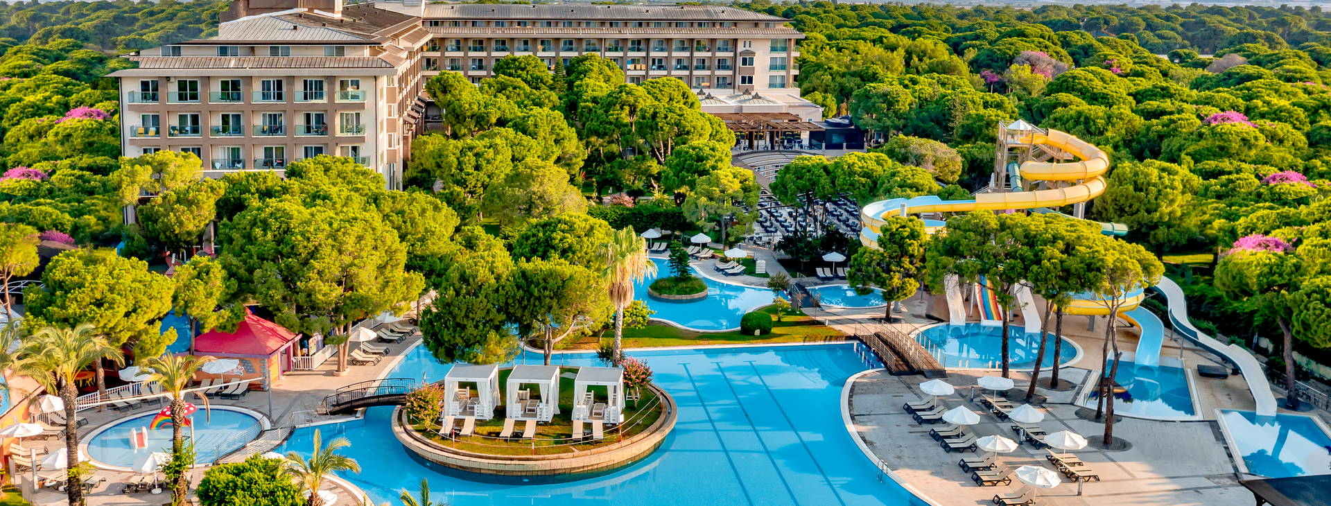 Papillon Ayscha  Obrázok4