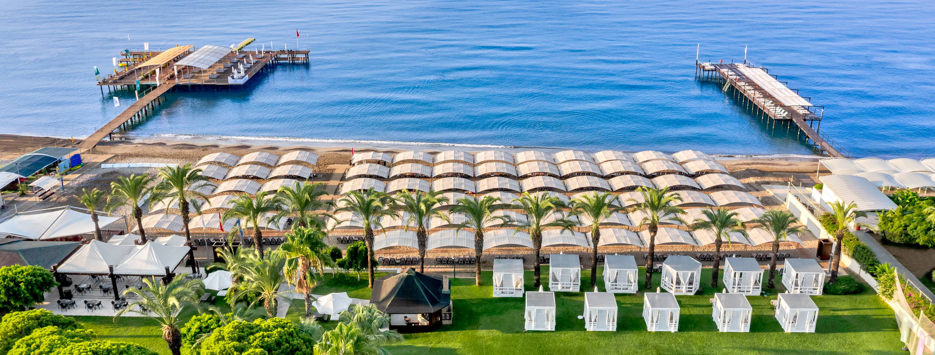 Papillon Ayscha  Obrázok12