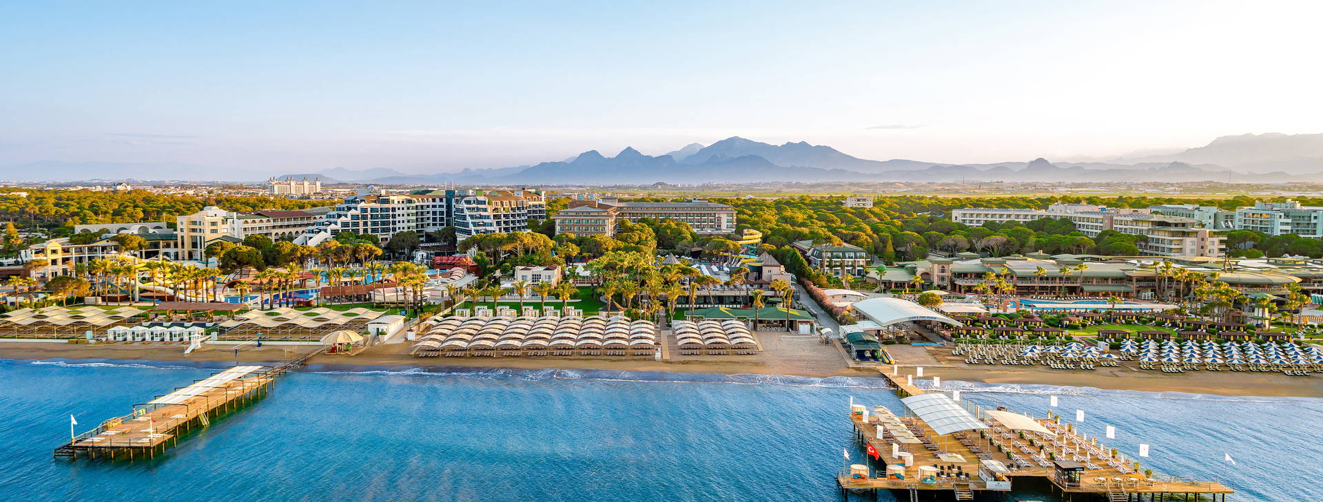 Papillon Ayscha  Obrázok7