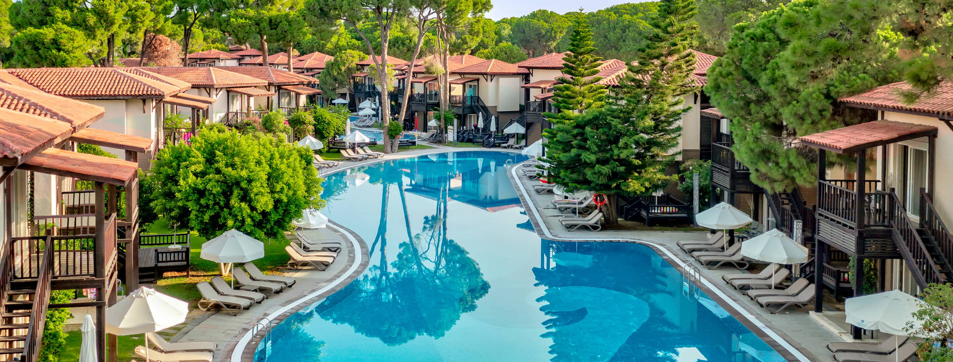 Papillon Ayscha  Obrázok3