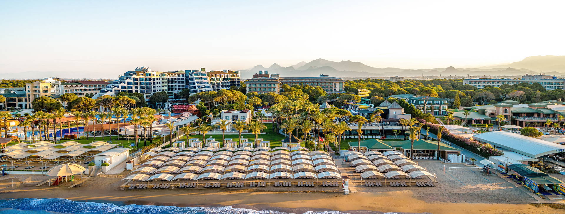 Papillon Ayscha  Obrázok0