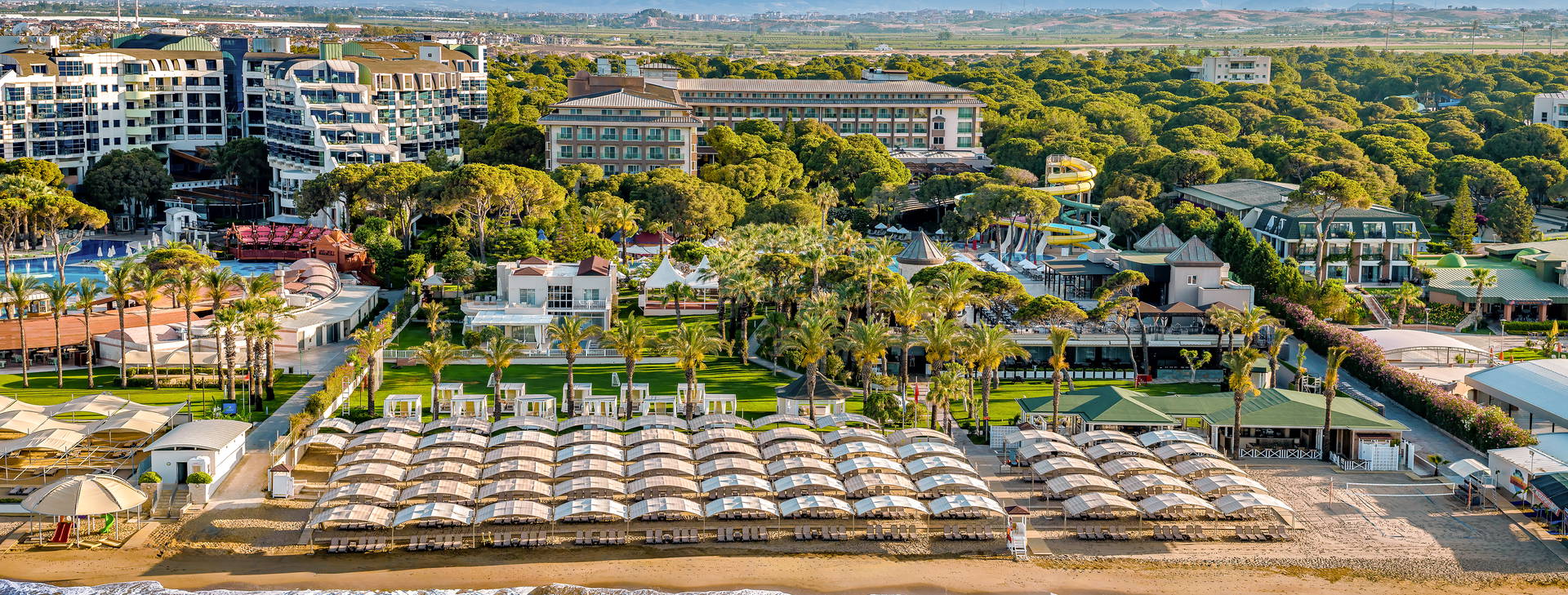 Papillon Ayscha  Obrázok10