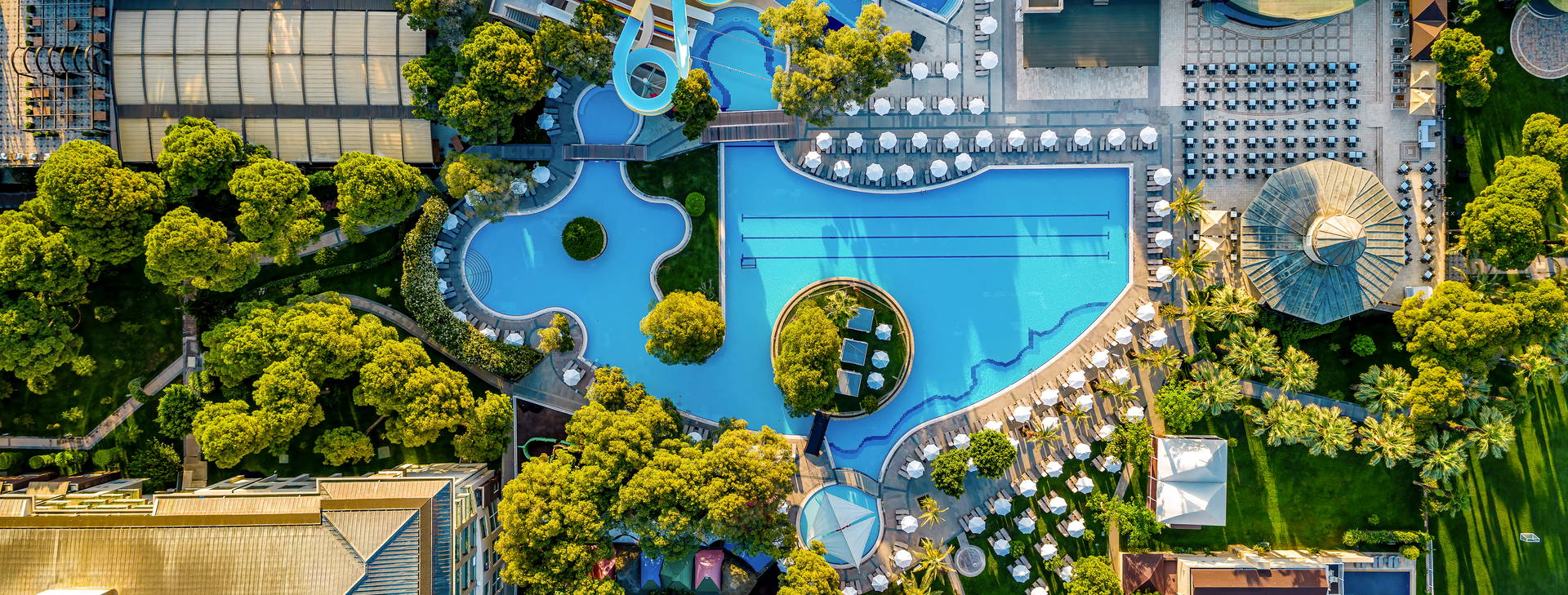 Papillon Ayscha  Obrázok2