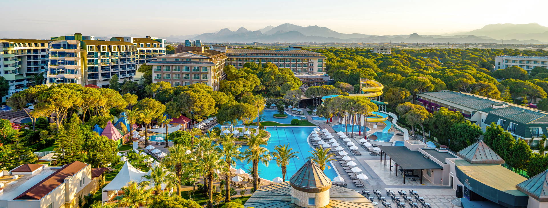 Papillon Ayscha  Obrázok9