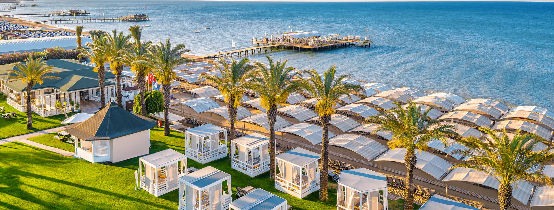 Papillon Ayscha  Obrázok11