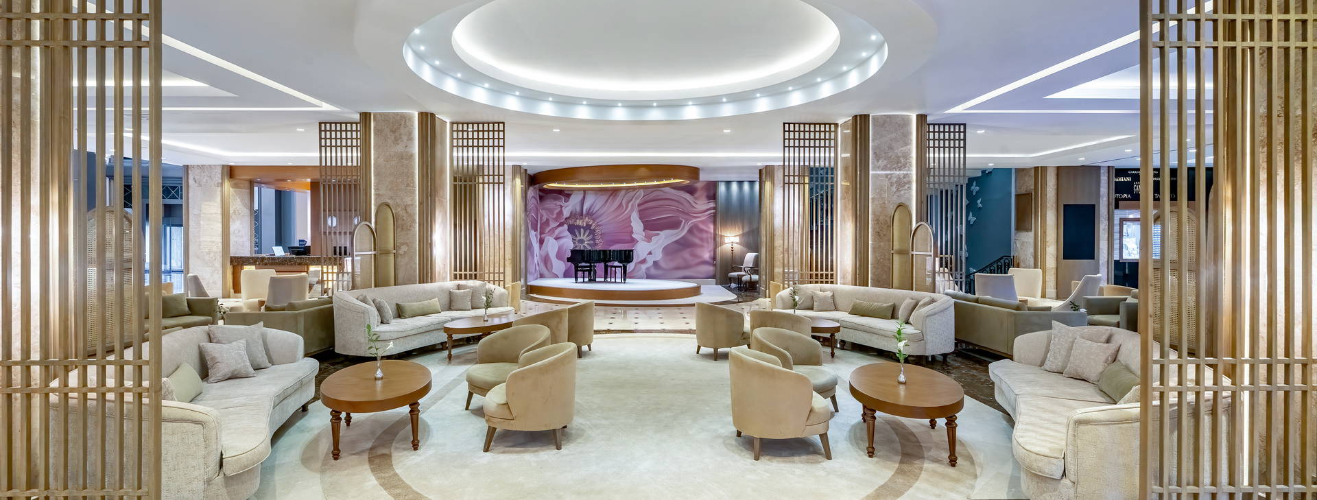 Papillon Ayscha  Obrázok15