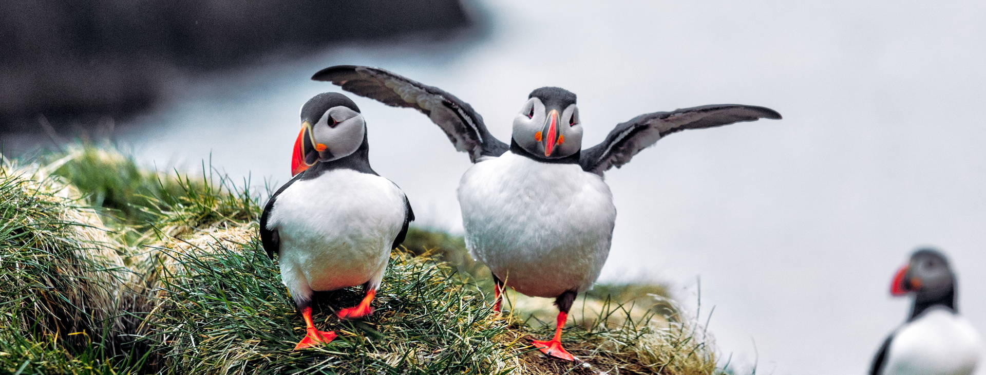 Ubytování FAE Obrázok9