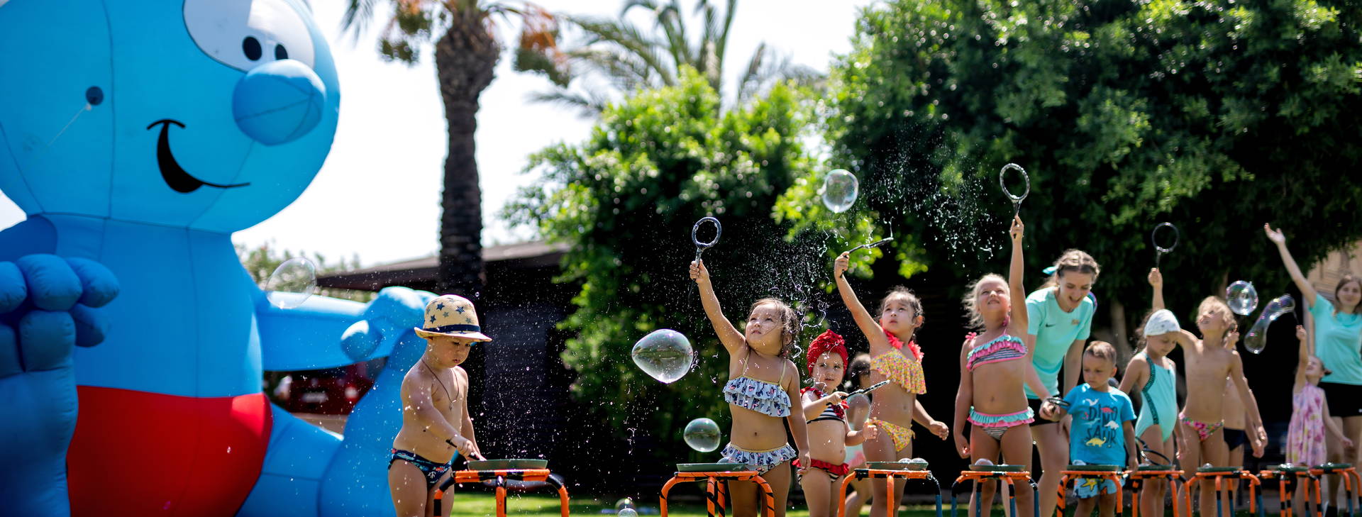 Papillon Ayscha  Obrázok17