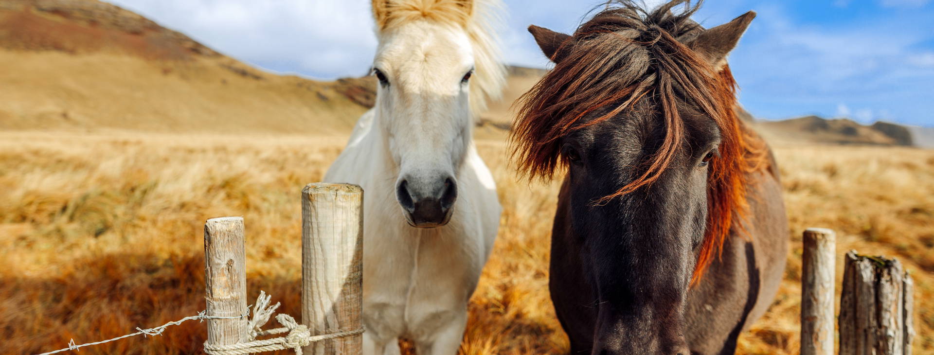 Ubytování GII Obrázok8