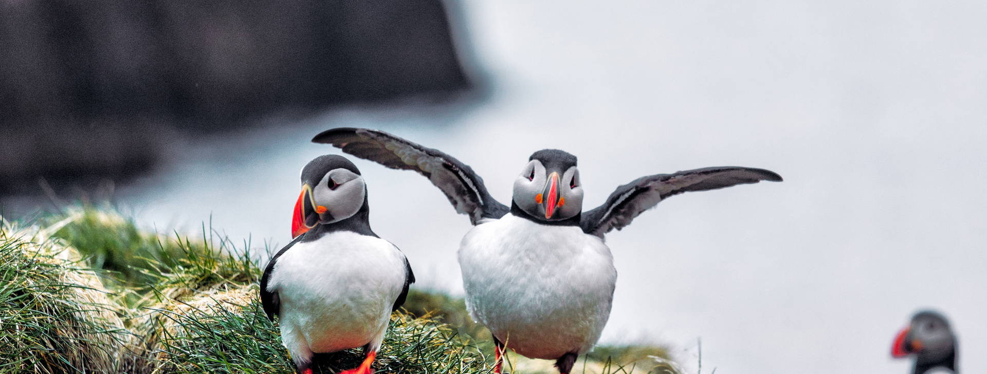 Ubytování GII Obrázok24