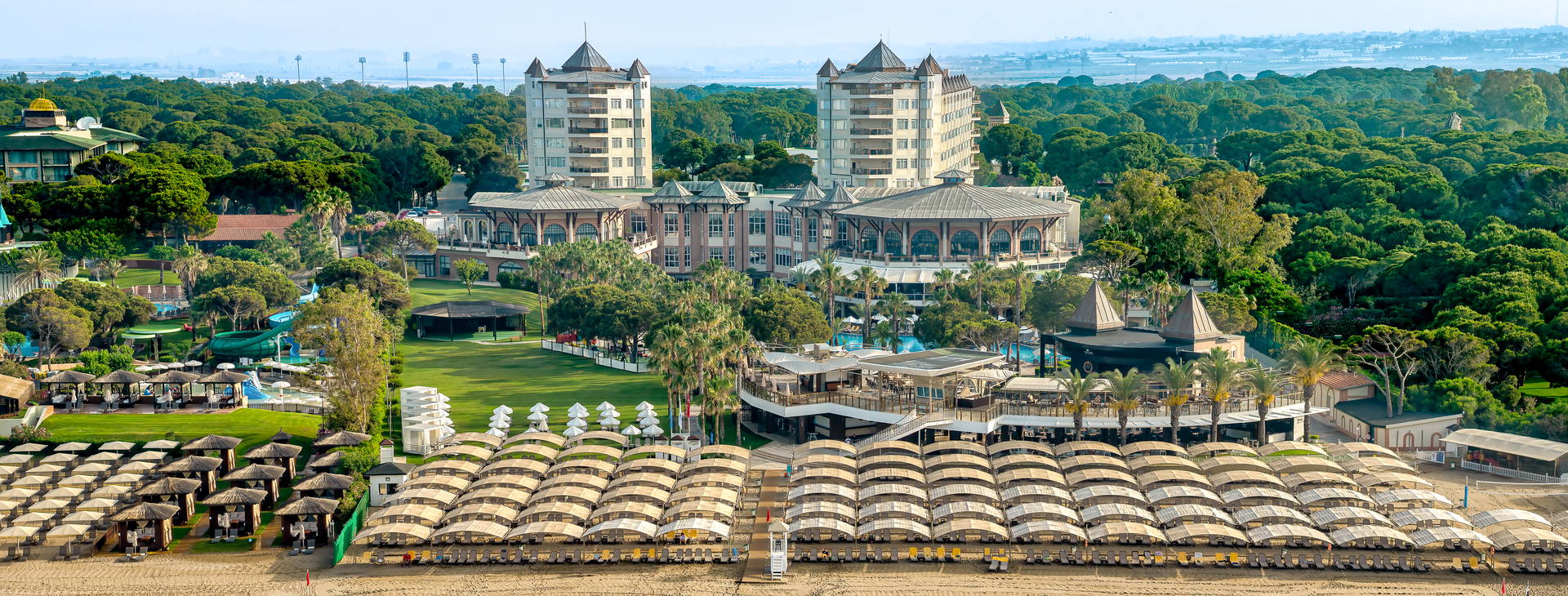 Papillon Zeugma Obrázok1