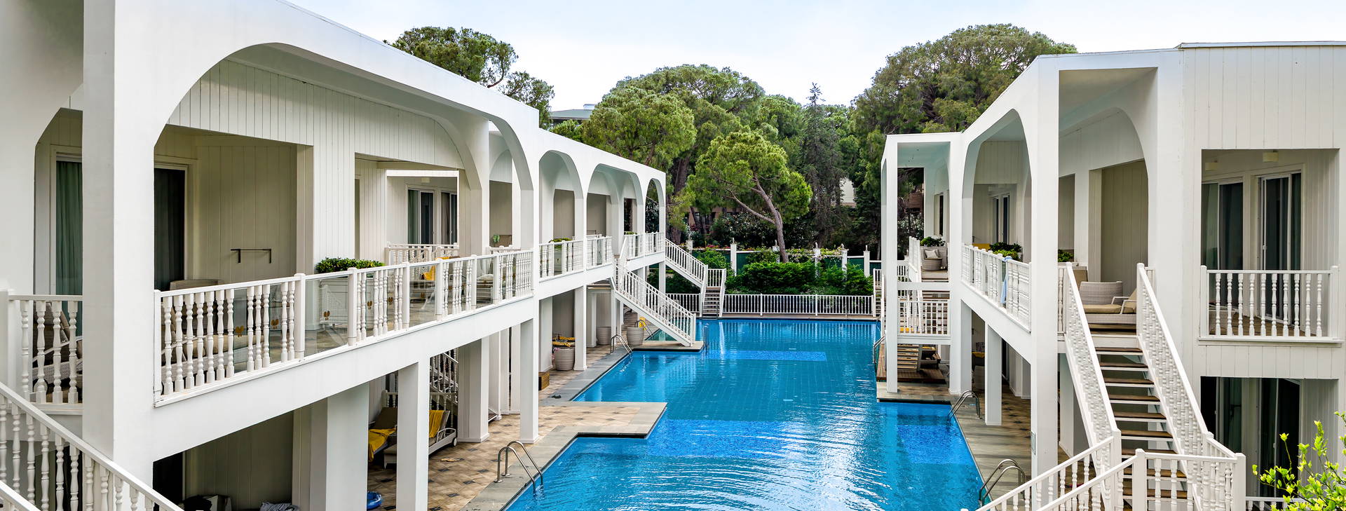 Papillon Zeugma Obrázok2