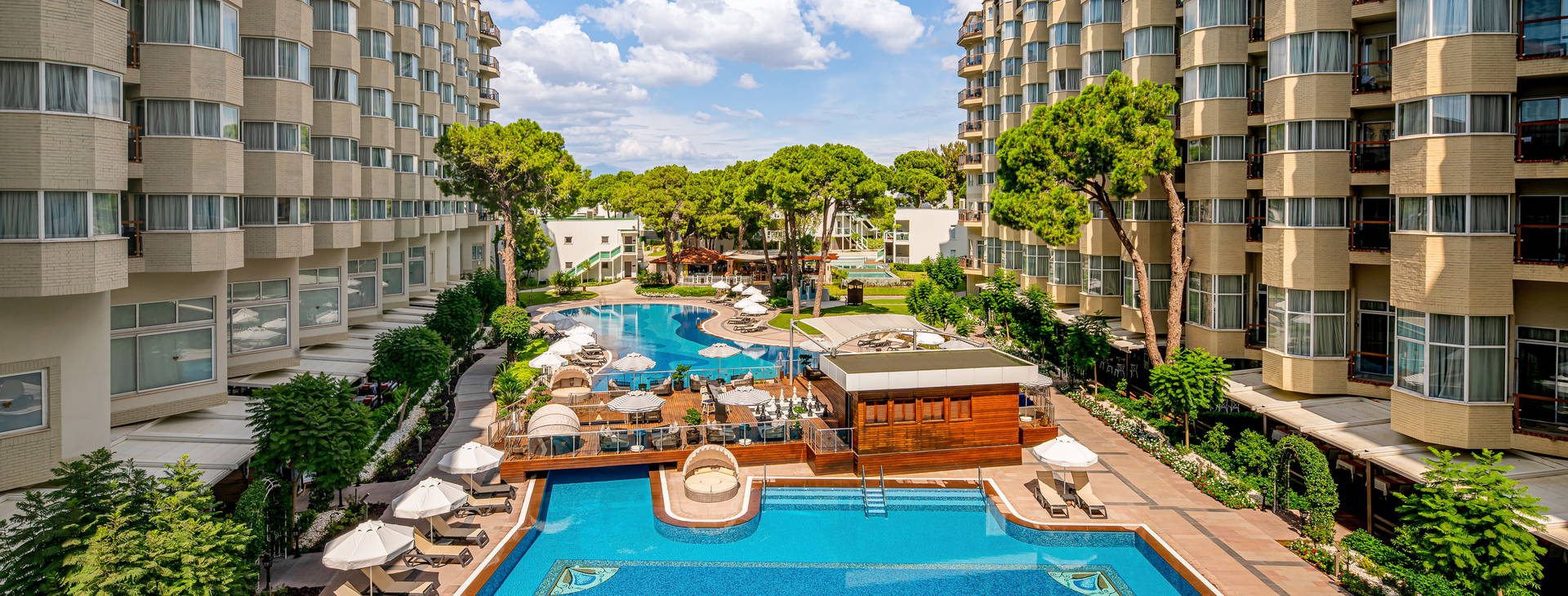 Papillon Zeugma Obrázok3