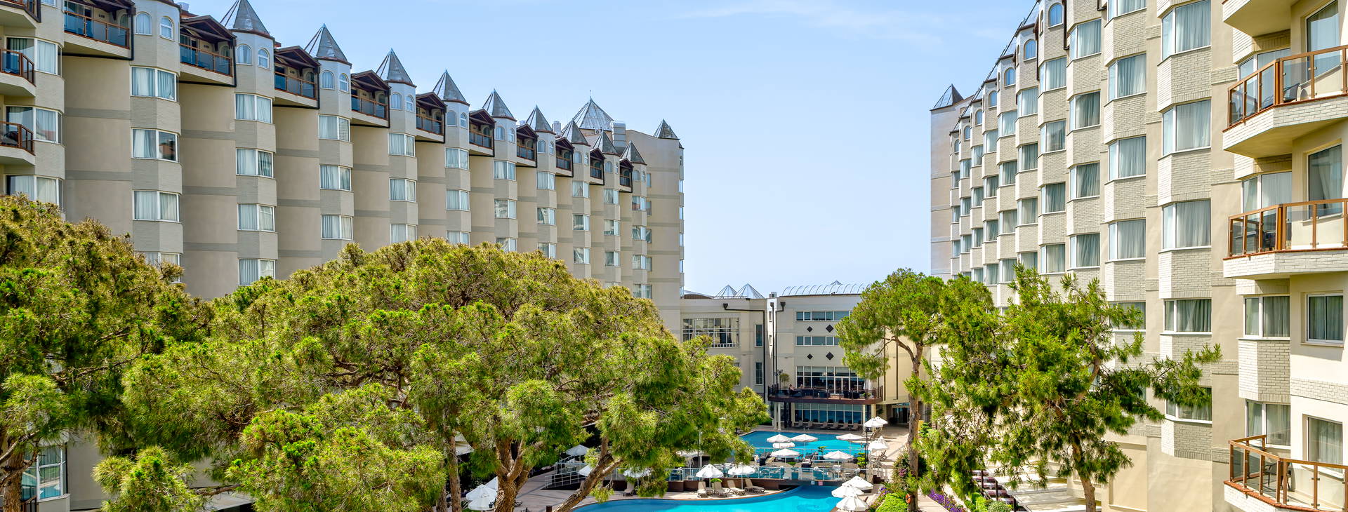 Papillon Zeugma Obrázok5