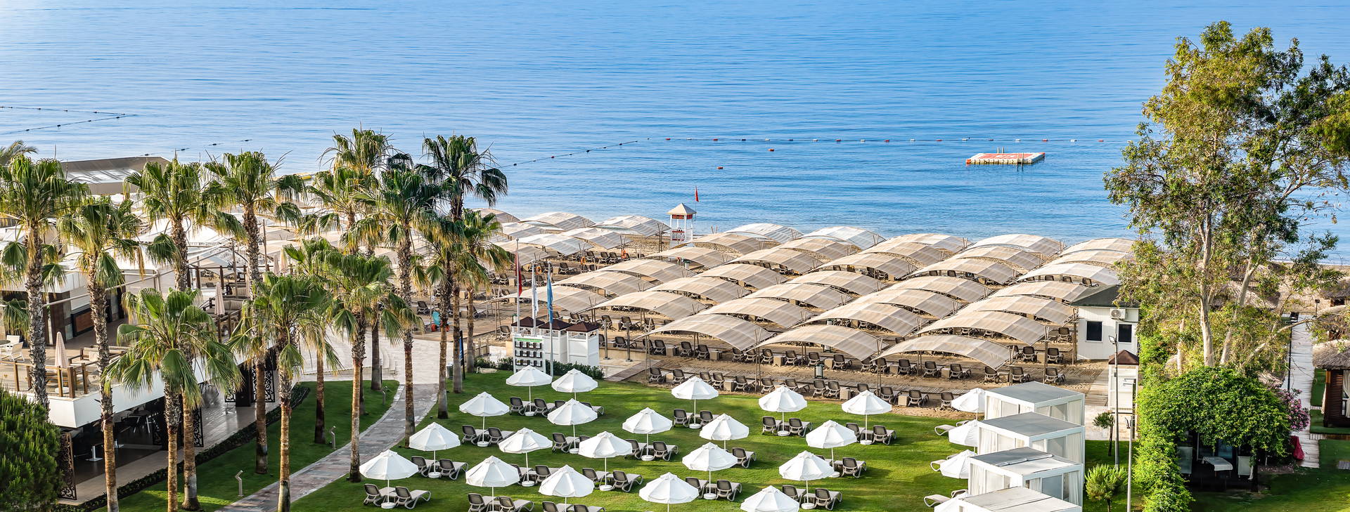 Papillon Zeugma Obrázok8