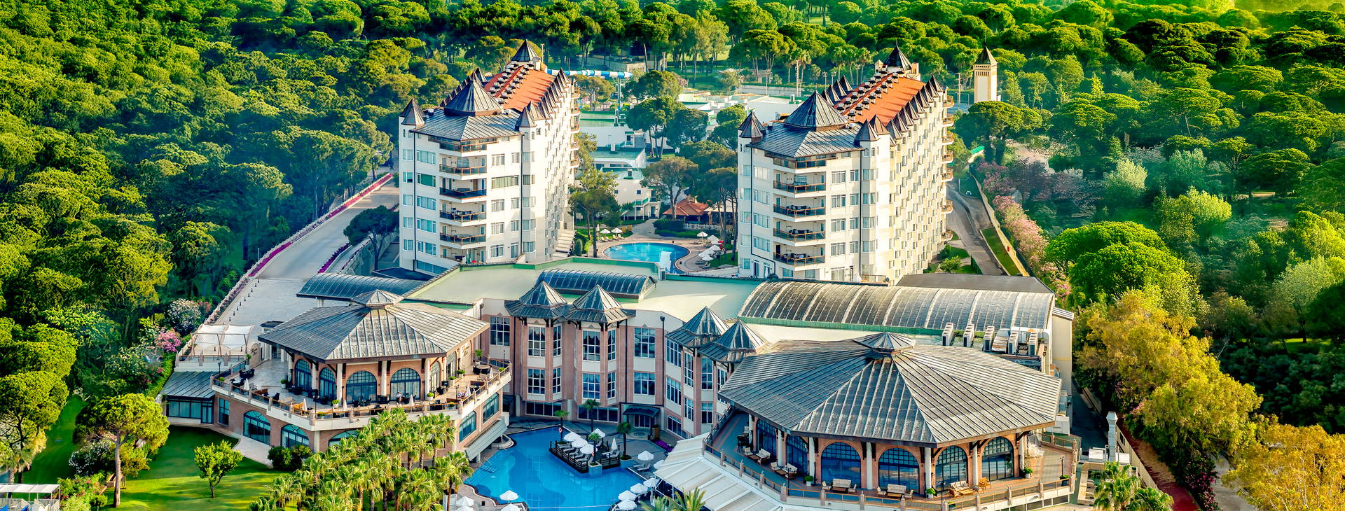 Papillon Zeugma Obrázok6