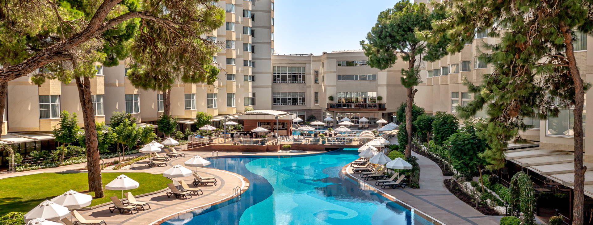 Papillon Zeugma Obrázok11