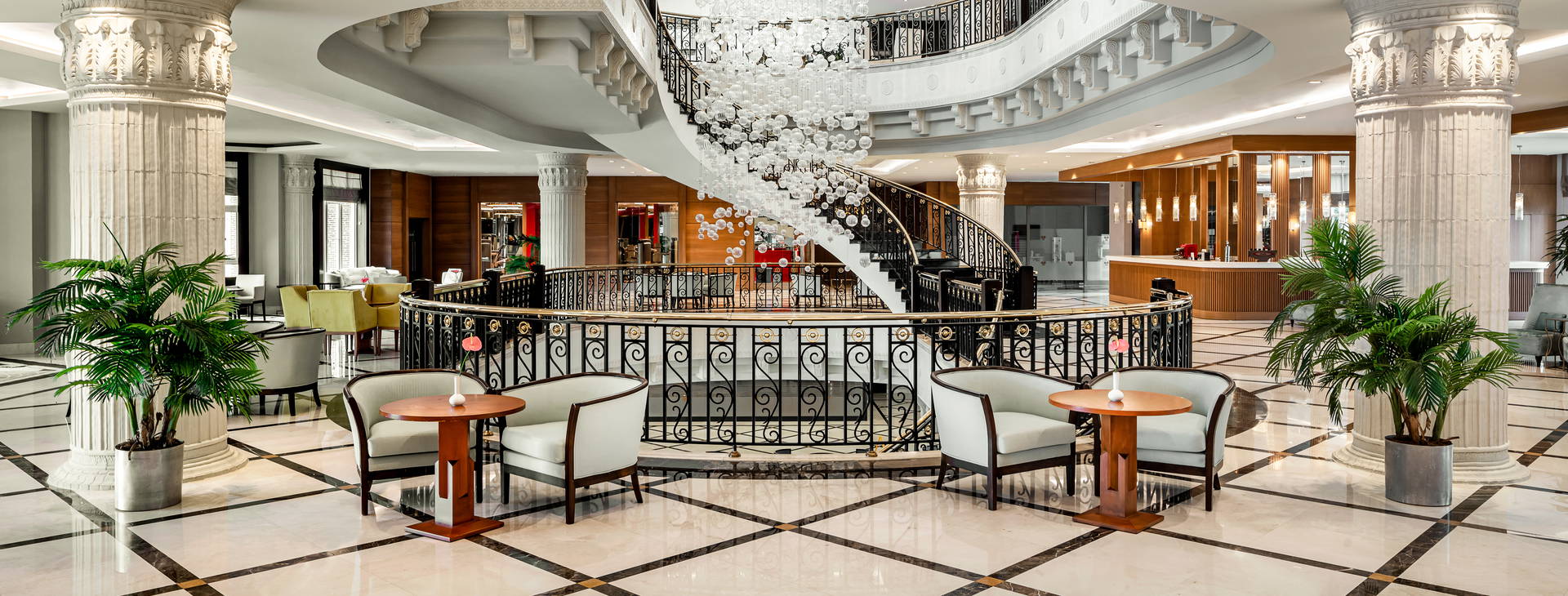 Papillon Zeugma Obrázok18