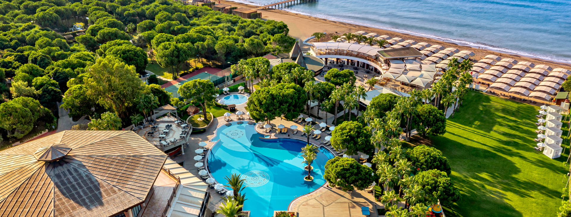 Papillon Zeugma Obrázok10