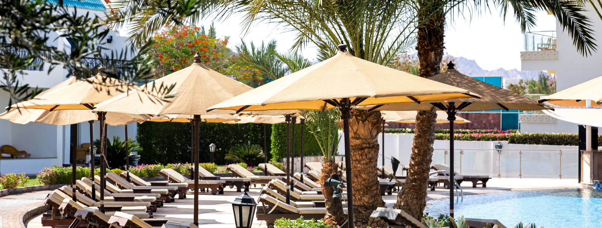 Sultan Gardens Obrázok9