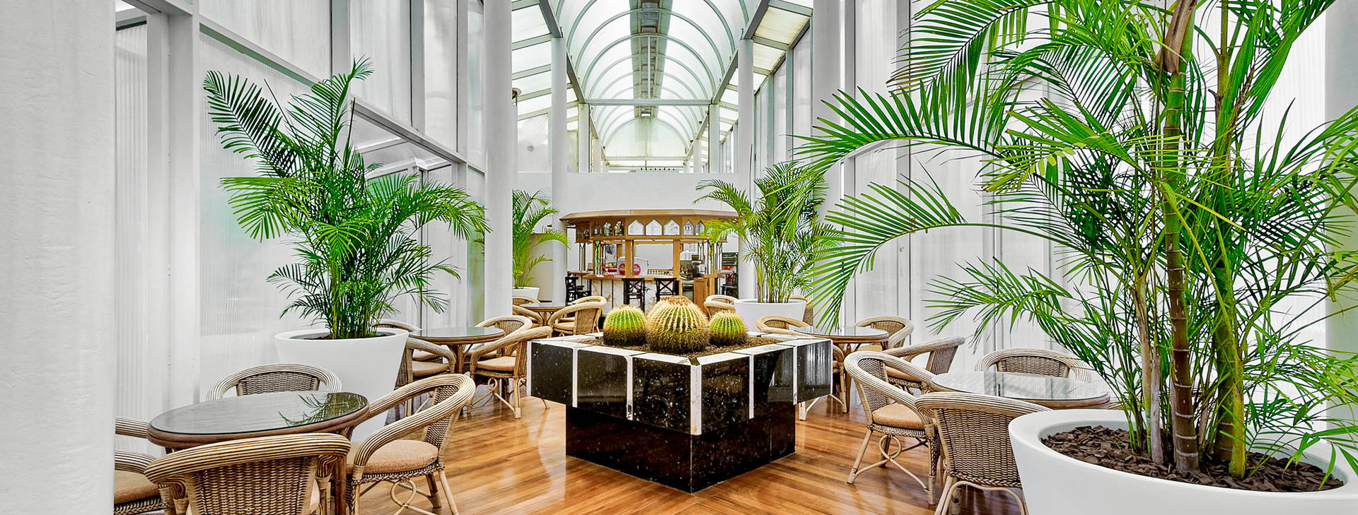 Bull Astoria Obrázok20