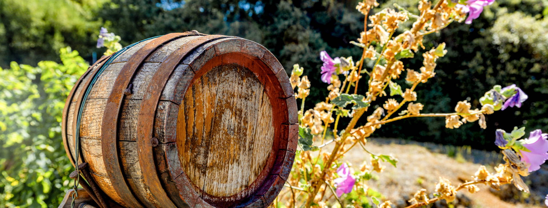 Ubytování ZWP Obrázok4