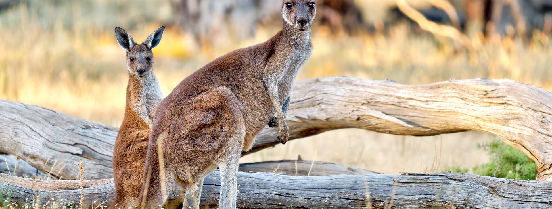 Ubytování AUF Obrázok6