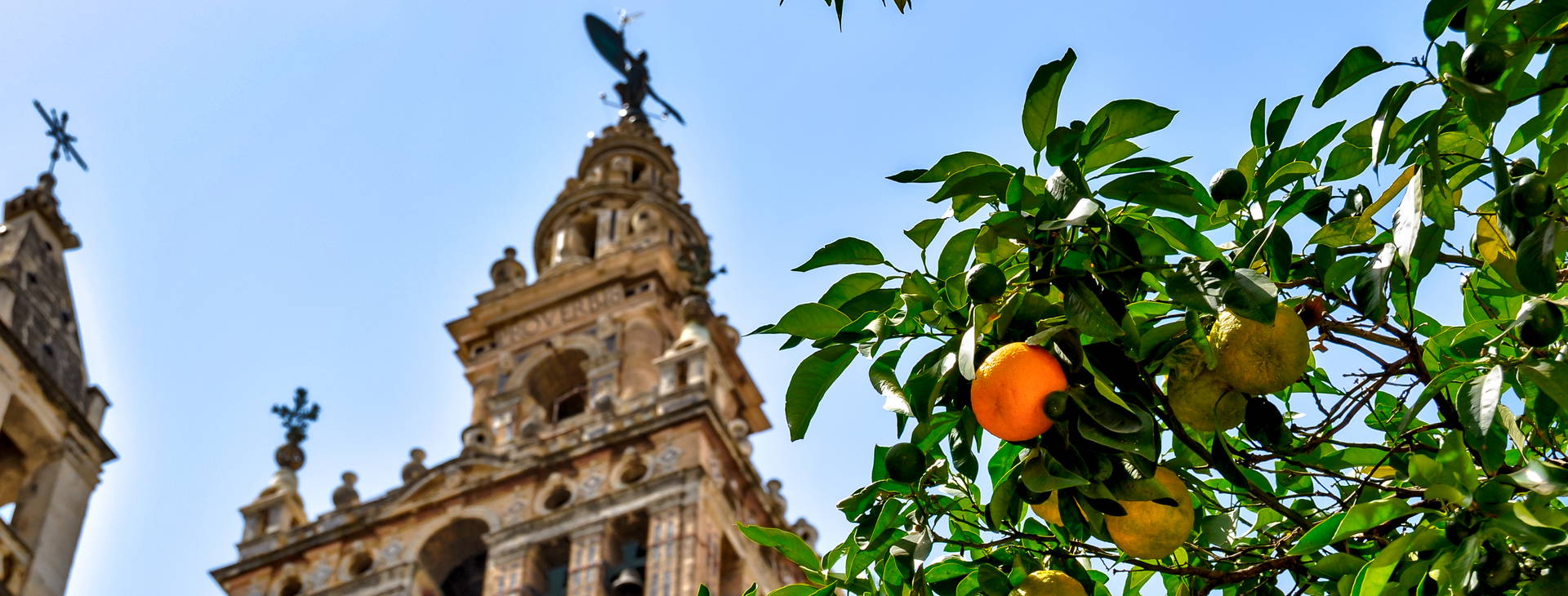 Ubytování HAL Obrázok1