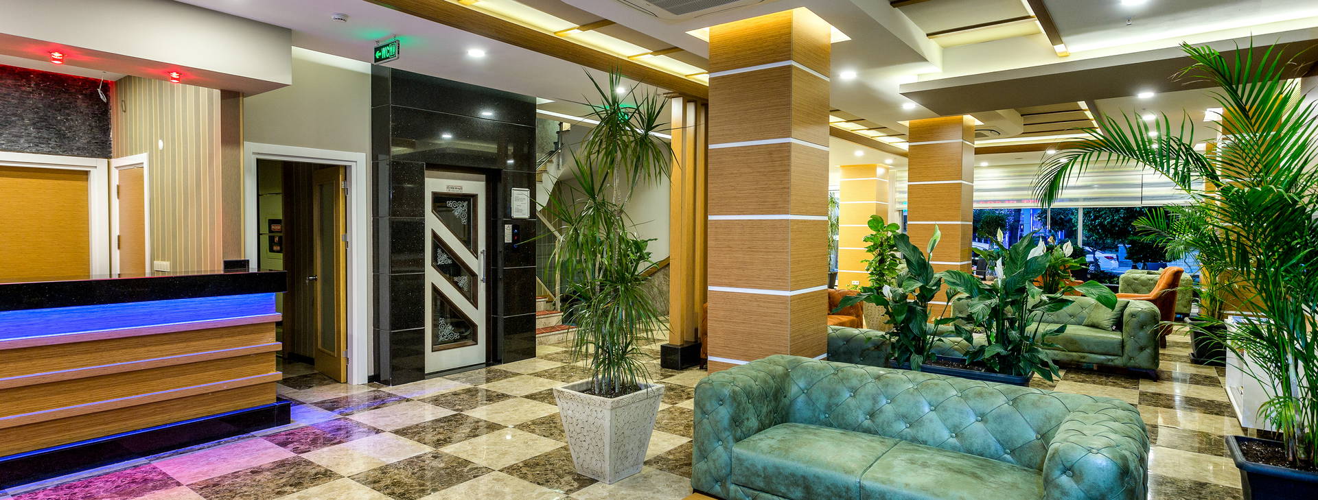 Lonicera City Kleopatra Obrázok19