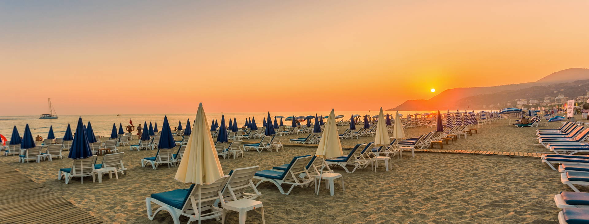 Lonicera City Kleopatra Obrázok4