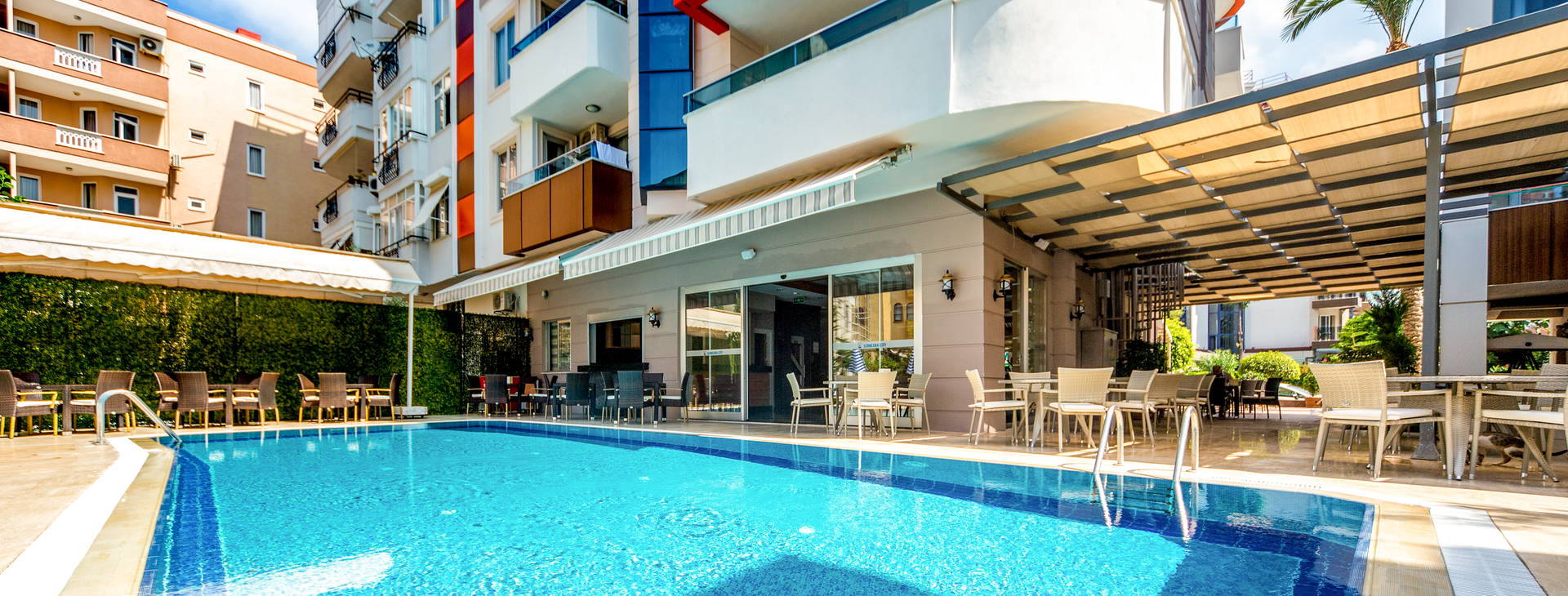 Lonicera City Kleopatra Obrázok1