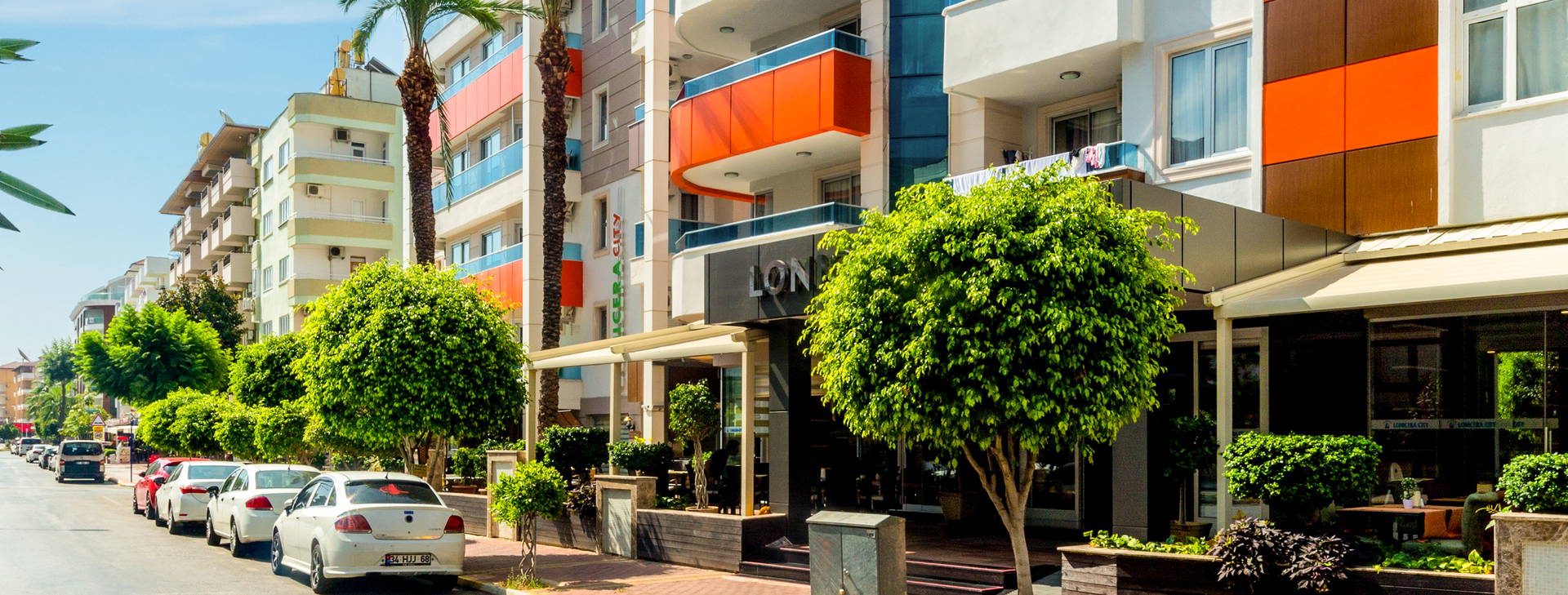 Lonicera City Kleopatra Obrázok2