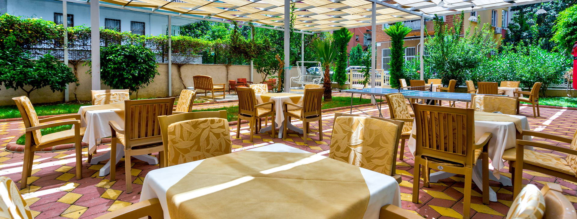 Lonicera City Kleopatra Obrázok15