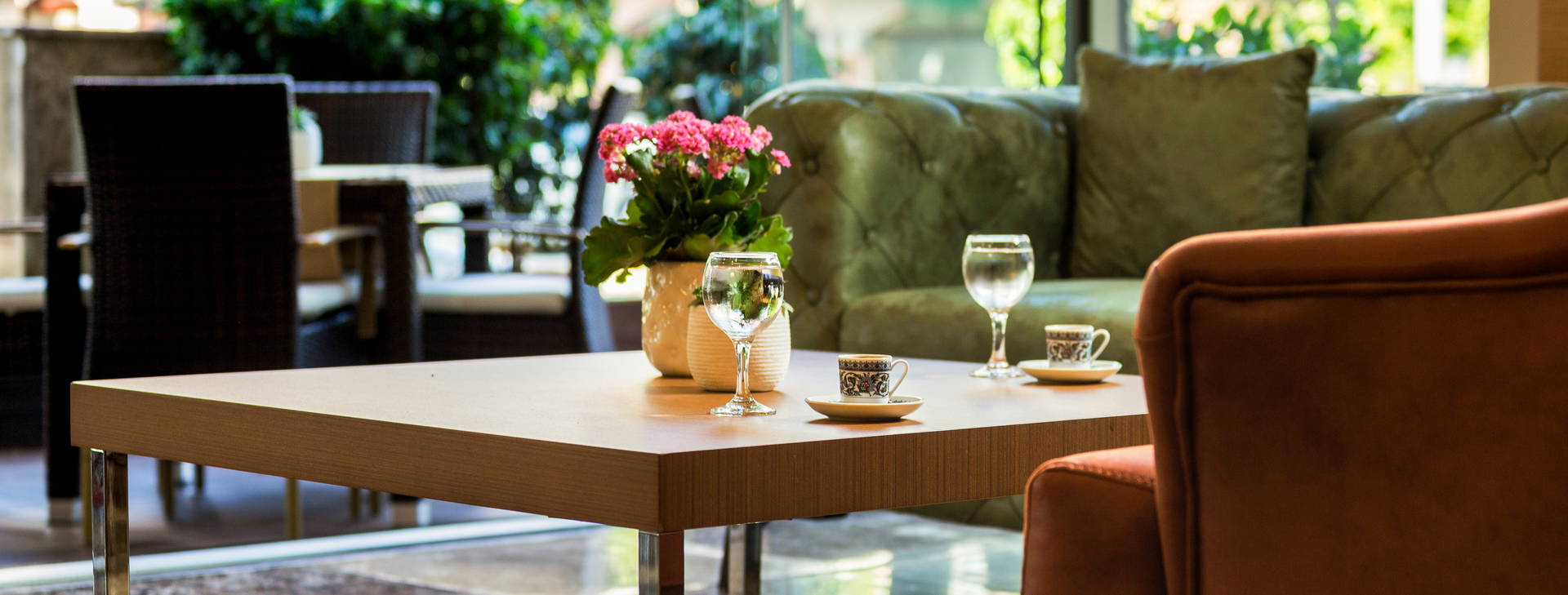 Lonicera City Kleopatra Obrázok20