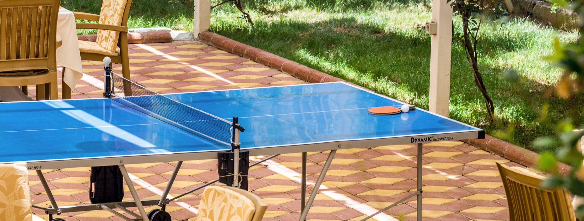 Lonicera City Kleopatra Obrázok23