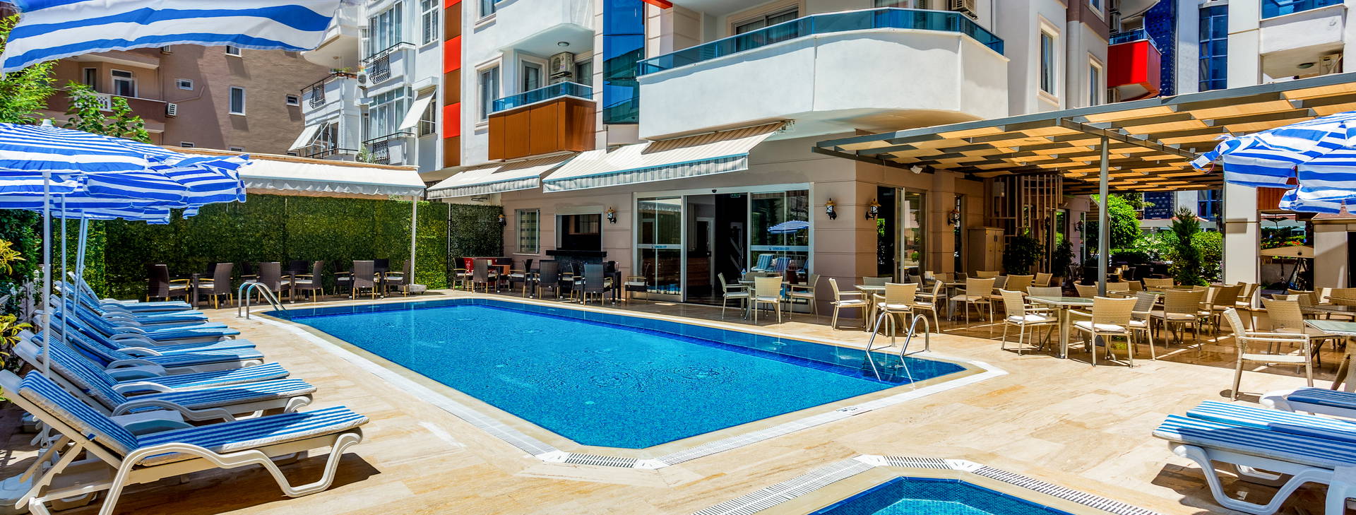 Lonicera City Kleopatra Obrázok0