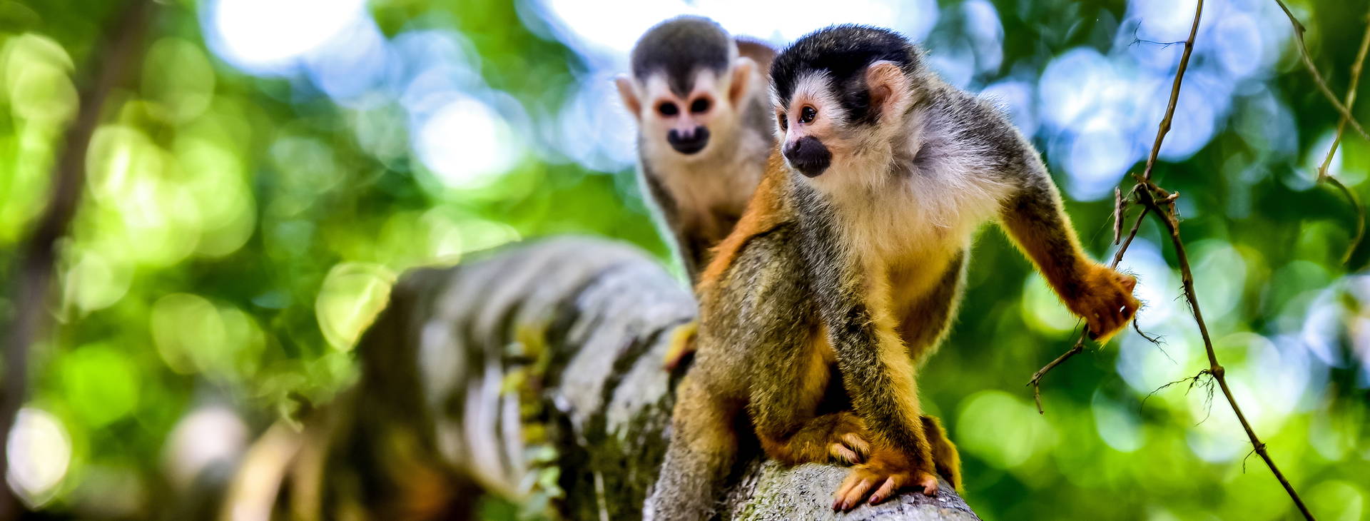 Ubytování PNK Obrázok24