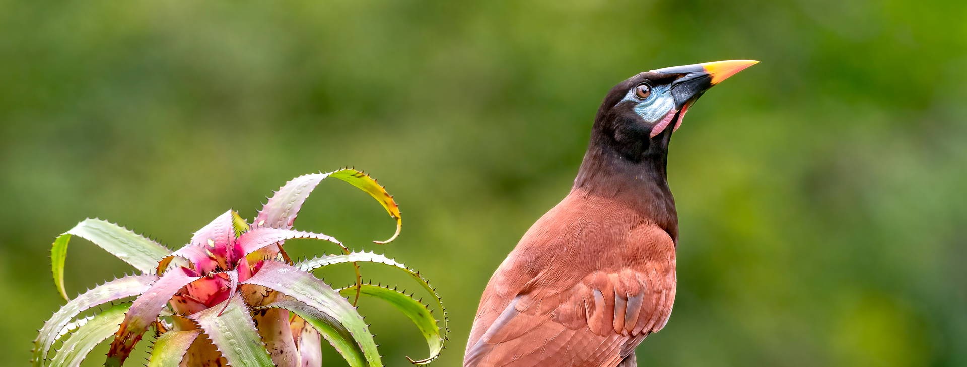 Ubytování KSJ Obrázok13