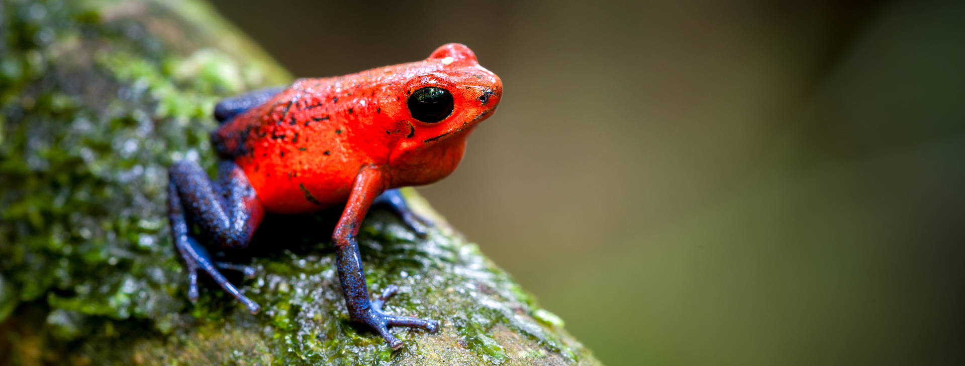 Ubytování PNK Obrázok28