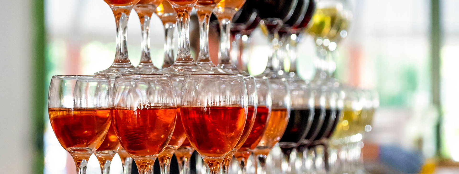 Kalina Garden Obrázok8