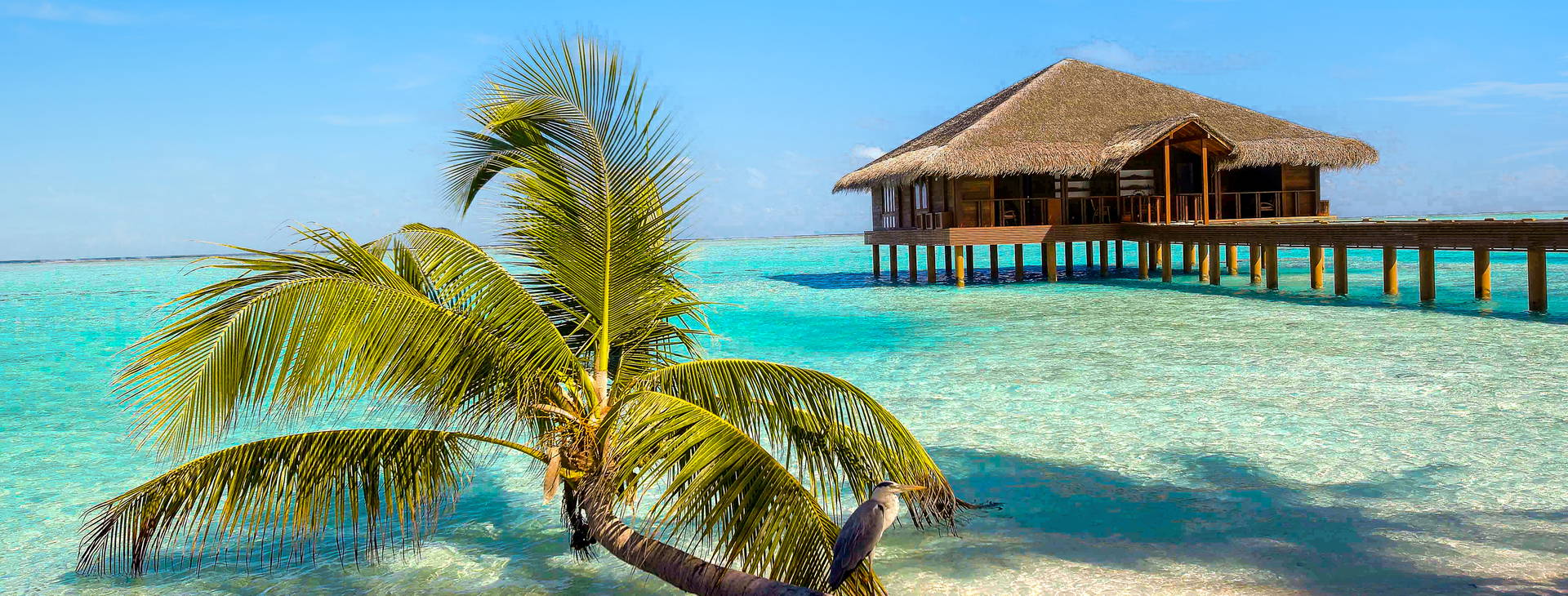 Medhufushi Island Resort Obrázok16