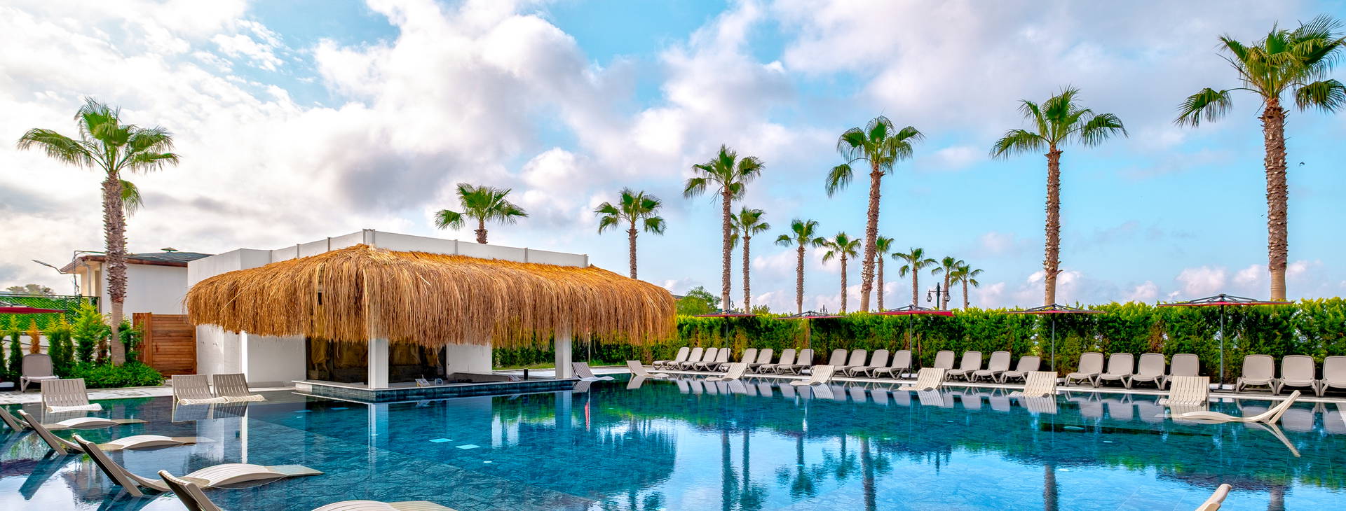 Serenity Queen Obrázok1