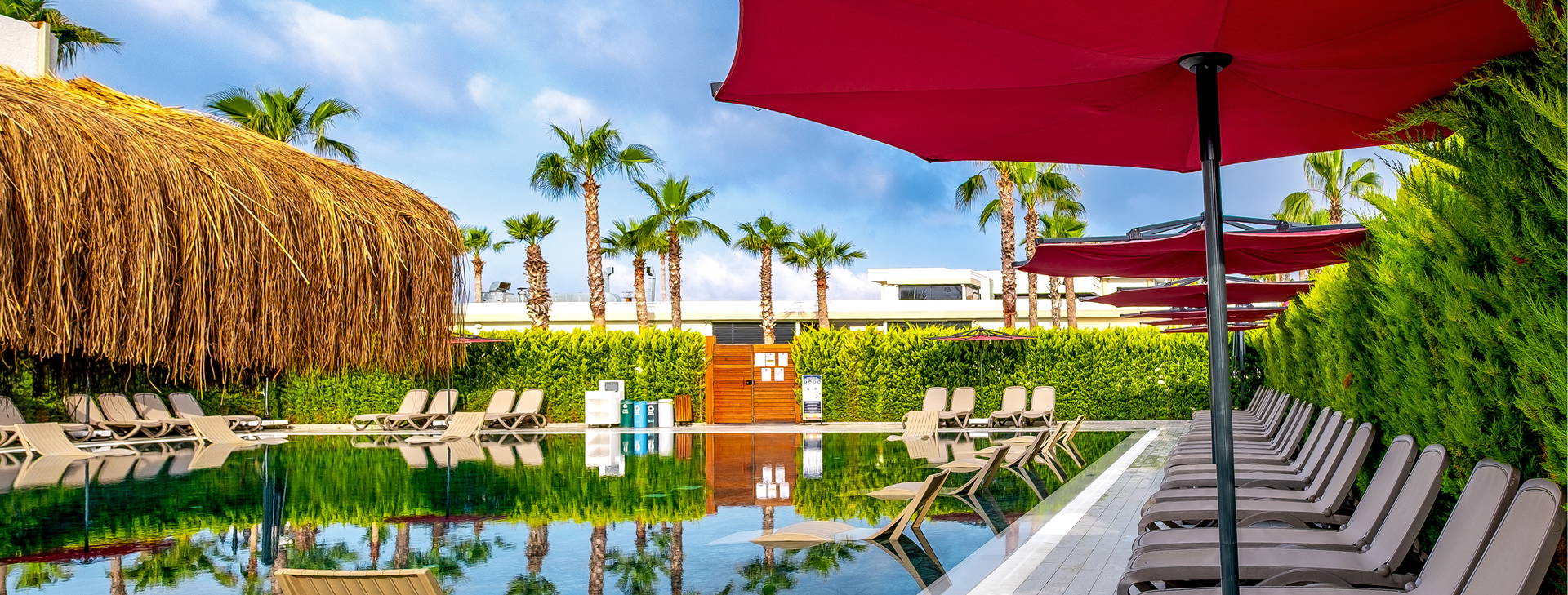 Serenity Queen Obrázok13