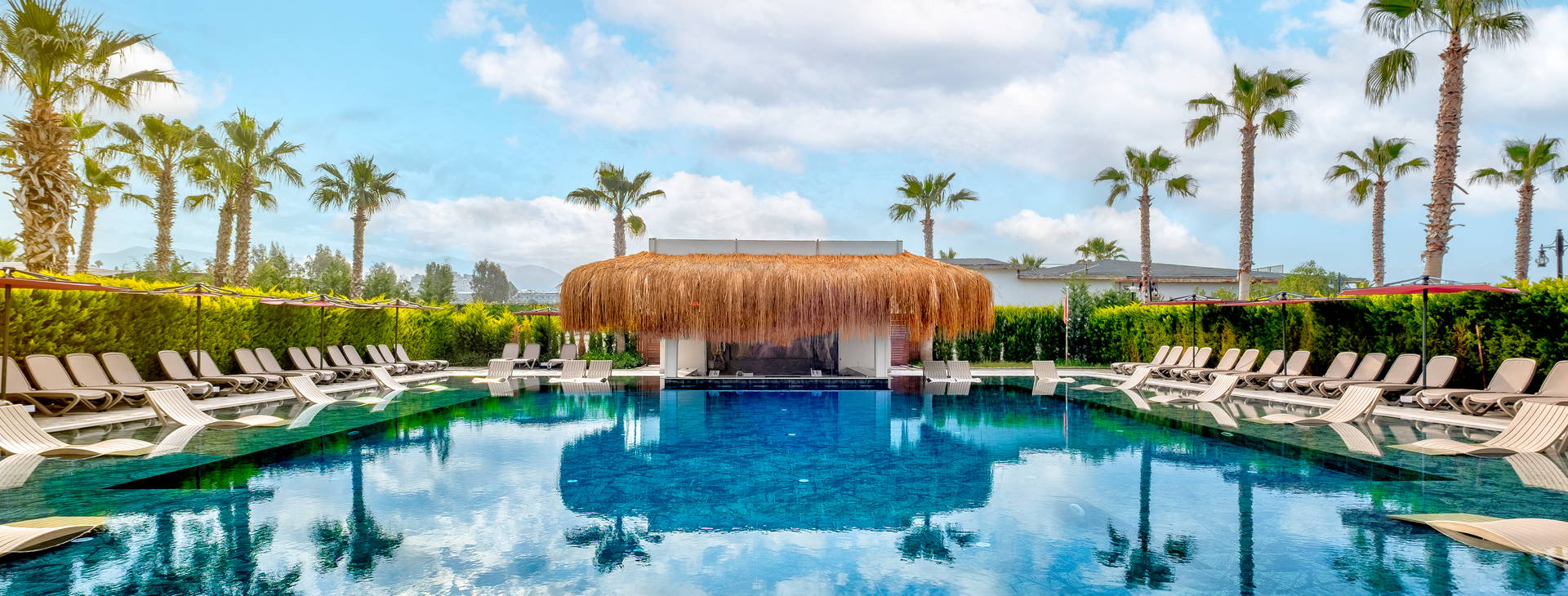 Serenity Queen Obrázok5