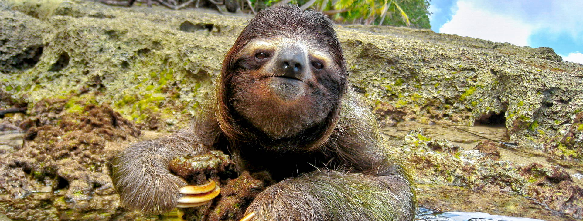 Ubytování KIP Obrázok5